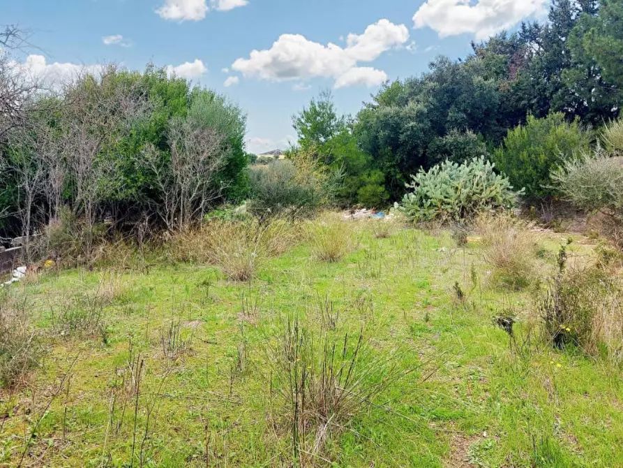 Immagine 3 di Terreno in vendita  in Loc. Montiju, Via Napoli, N. snc a Perfugas
