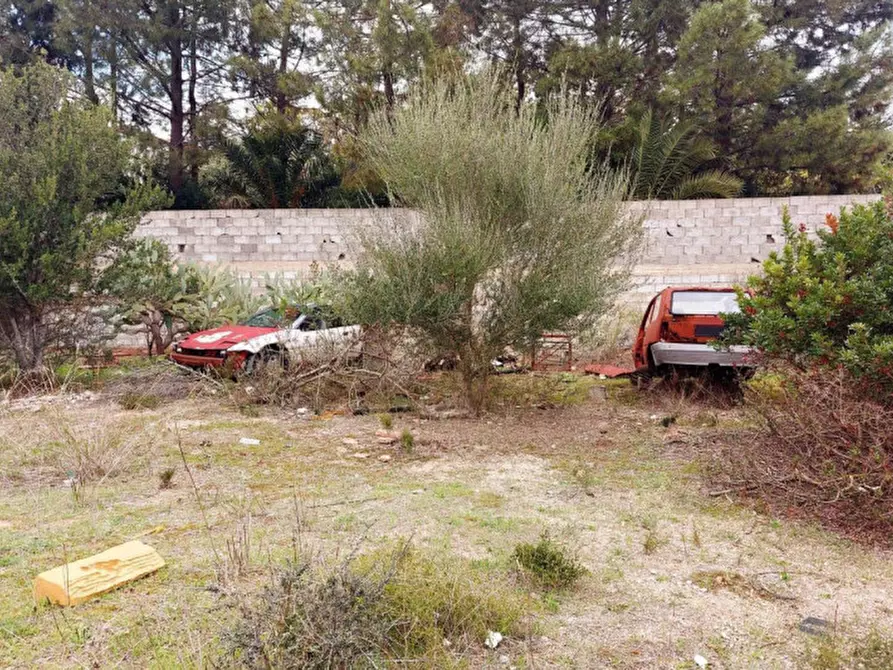 Immagine 4 di Terreno in vendita  in Loc. Montiju, Via Napoli, N. snc a Perfugas