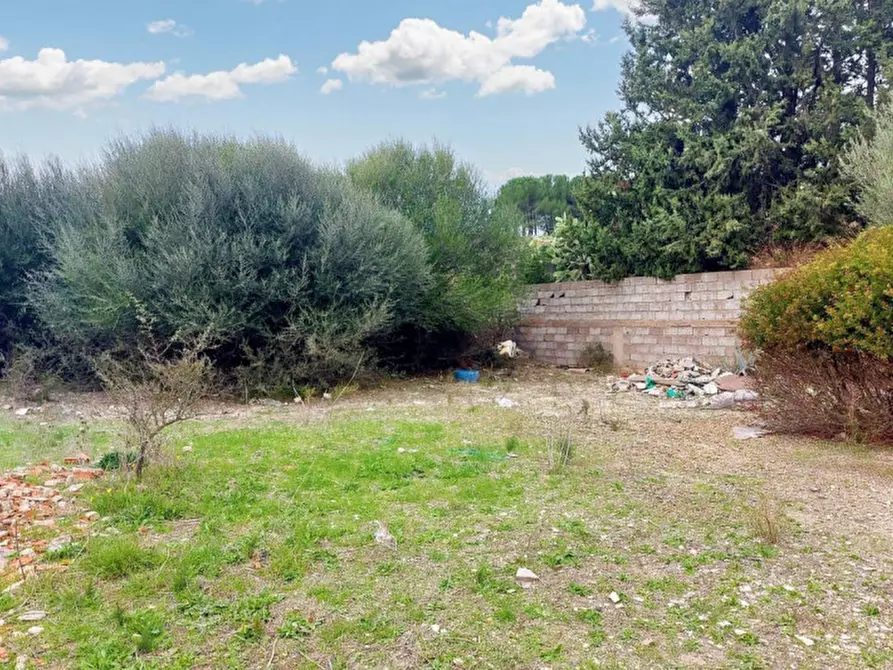 Immagine 7 di Terreno in vendita  in Loc. Montiju, Via Napoli, N. snc a Perfugas