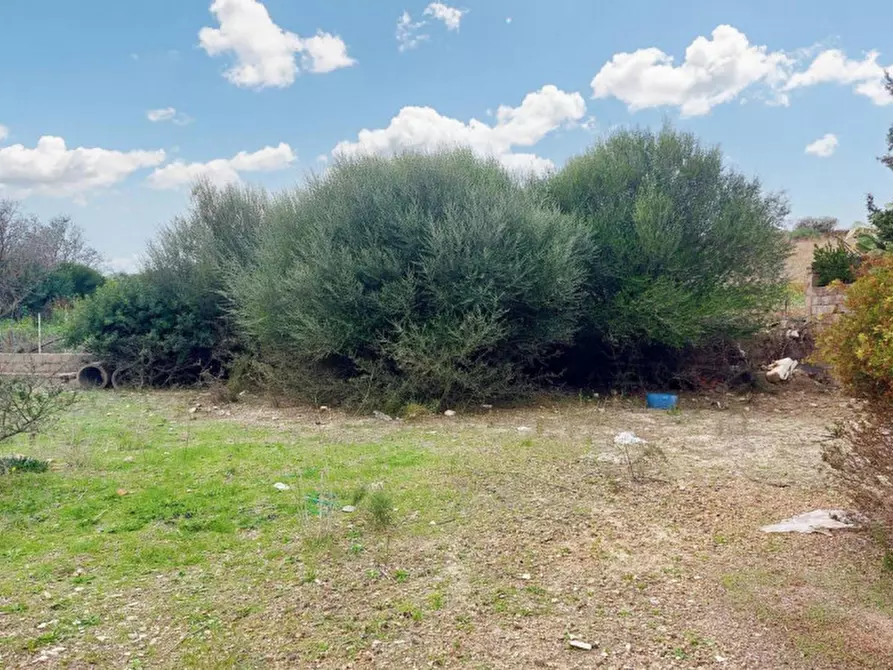 Immagine 9 di Terreno in vendita  in Loc. Montiju, Via Napoli, N. snc a Perfugas