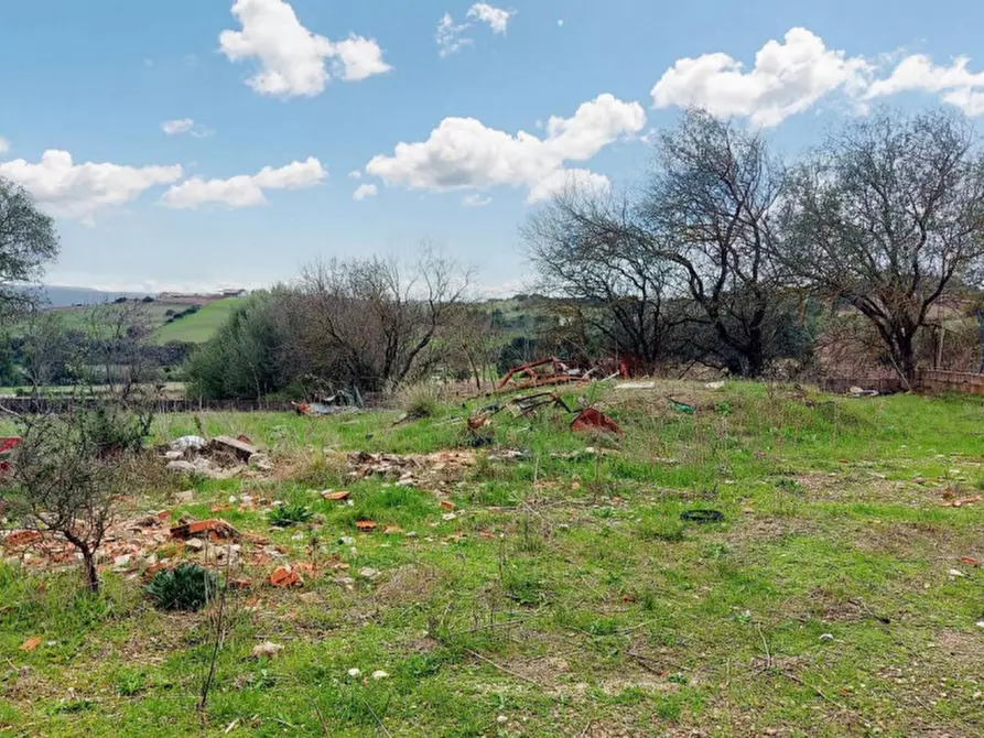 Immagine 10 di Terreno in vendita  in Loc. Montiju, Via Napoli, N. snc a Perfugas