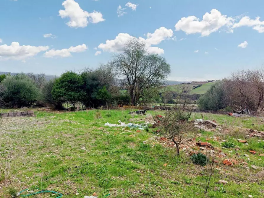 Immagine 11 di Terreno in vendita  in Loc. Montiju, Via Napoli, N. snc a Perfugas