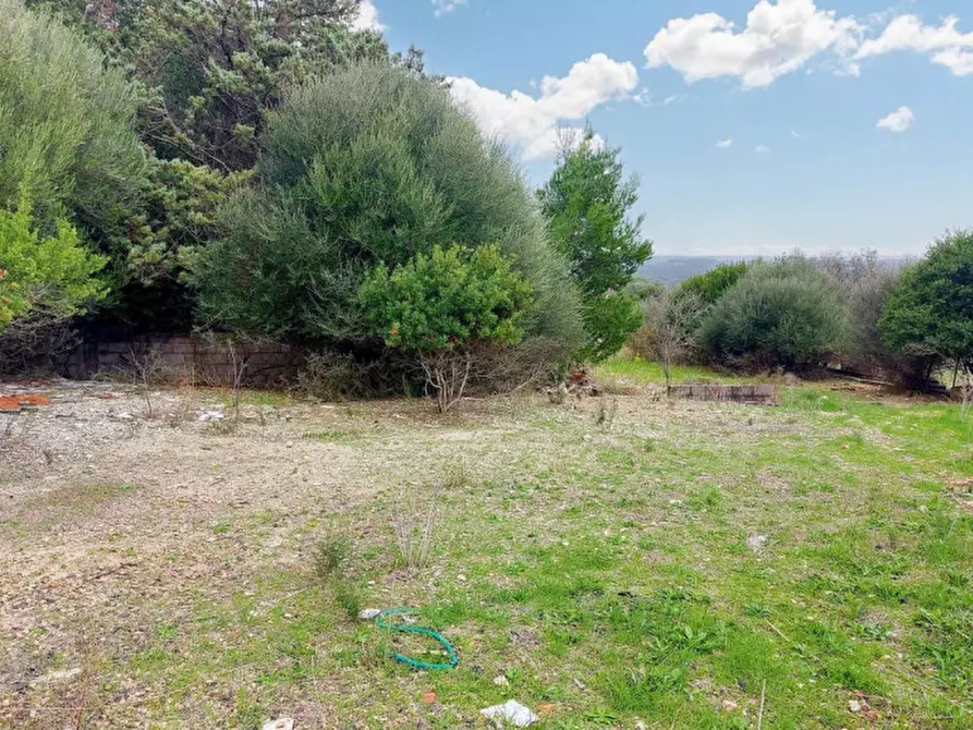 Immagine 12 di Terreno in vendita  in Loc. Montiju, Via Napoli, N. snc a Perfugas