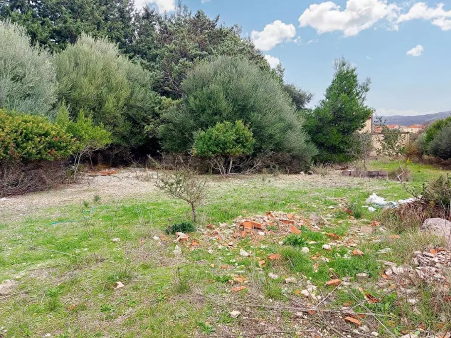 Immagine 13 di Terreno in vendita  in Loc. Montiju, Via Napoli, N. snc a Perfugas