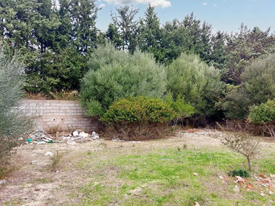 Immagine 14 di Terreno in vendita  in Loc. Montiju, Via Napoli, N. snc a Perfugas