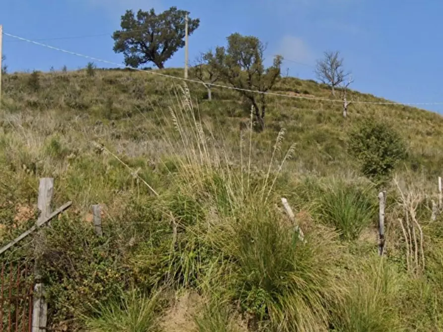 Immagine 1 di Terreno in vendita  in Località San Nicola, N. snc a Scalea