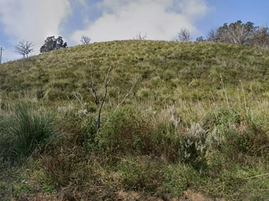 Immagine 2 di Terreno in vendita  in Località San Nicola, N. snc a Scalea