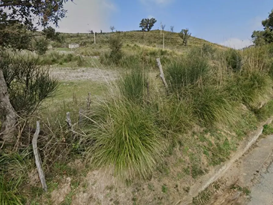 Immagine 3 di Terreno in vendita  in Località San Nicola, N. snc a Scalea