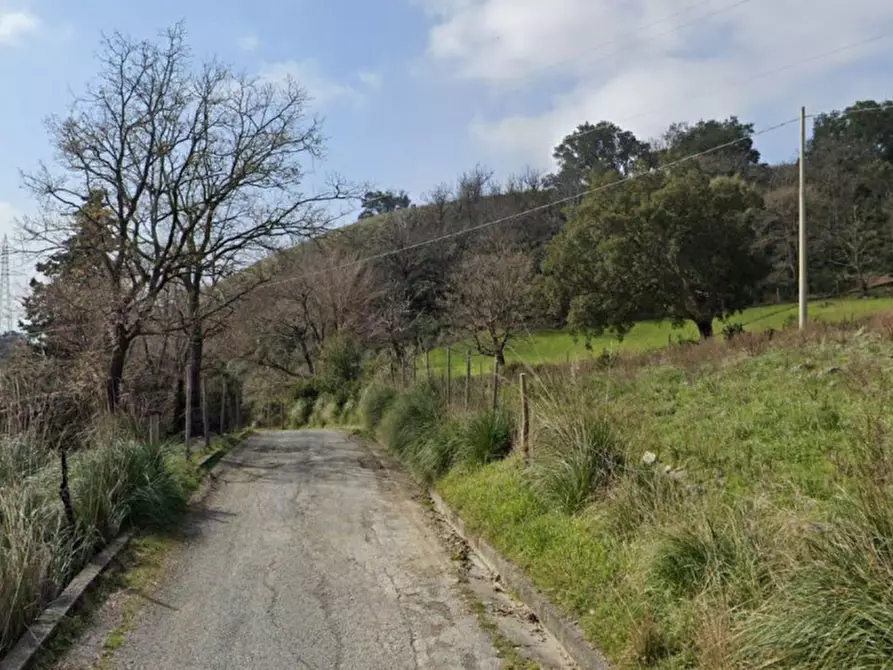 Immagine 4 di Terreno in vendita  in Località San Nicola, N. snc a Scalea