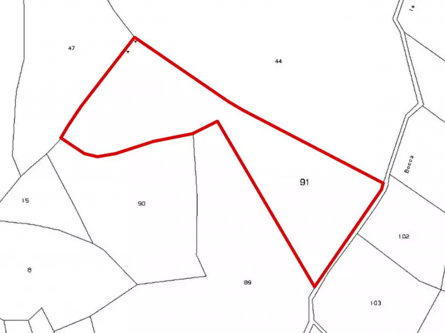 Immagine 7 di Terreno in vendita  in Località San Nicola, N. snc a Scalea