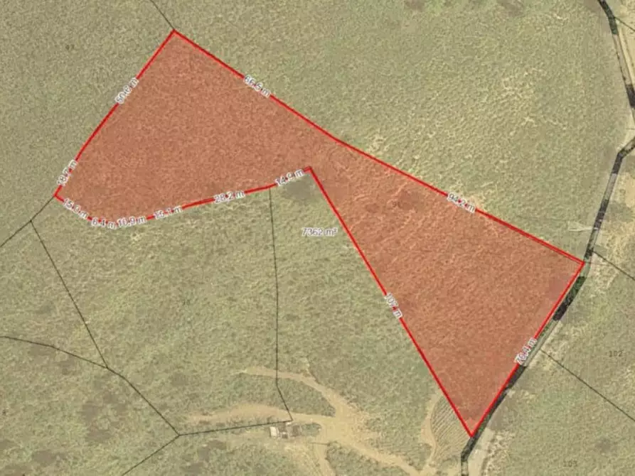 Immagine 11 di Terreno in vendita  in Località San Nicola, N. snc a Scalea