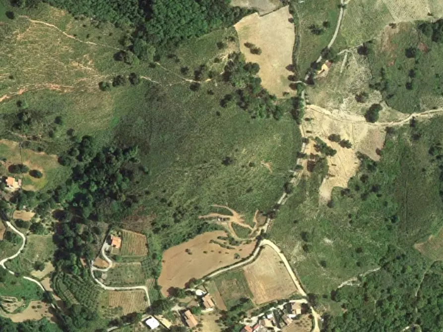 Immagine 13 di Terreno in vendita  in Località San Nicola, N. snc a Scalea