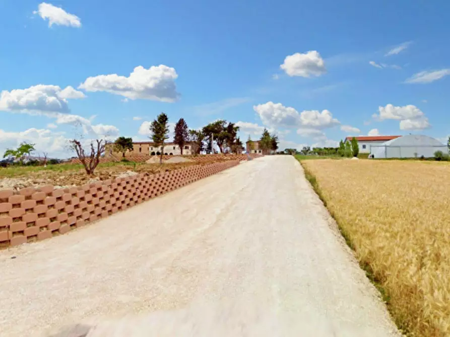 Immagine 7 di Terreno in vendita  in Loc. sant'Anna, N. snc a Montecassiano