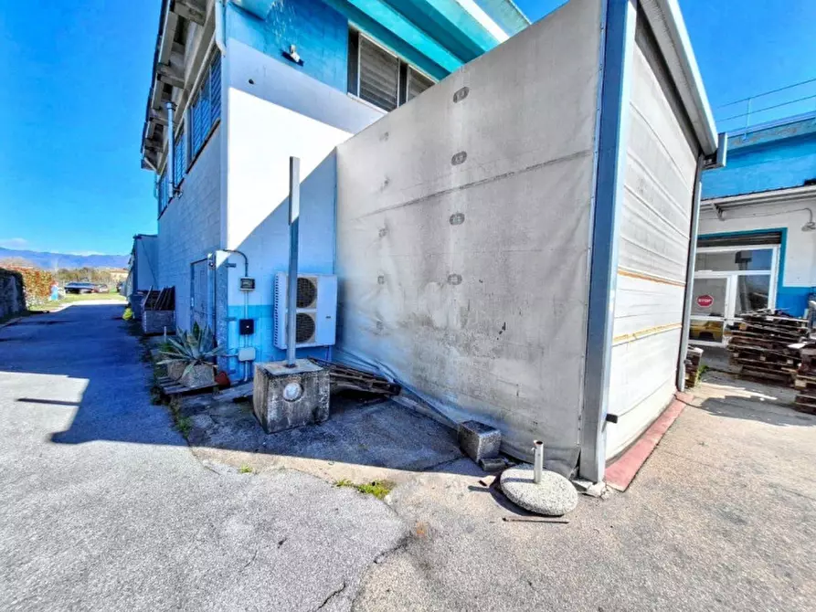 Immagine 5 di Capannone industriale in vendita  in Via del Marginone, N. 649 a Lucca