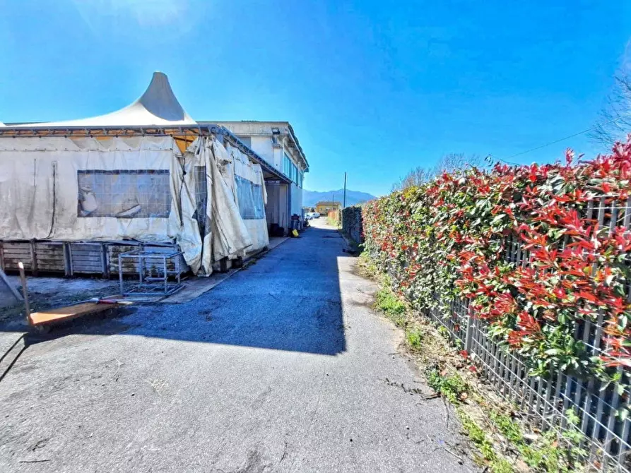 Immagine 9 di Capannone industriale in vendita  in Via del Marginone, N. 649 a Lucca