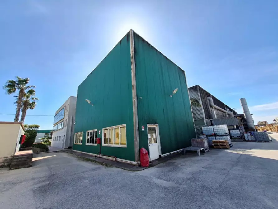 Immagine 3 di Capannone industriale in vendita  in Contrada Ciancio, N. 412 a Marsala