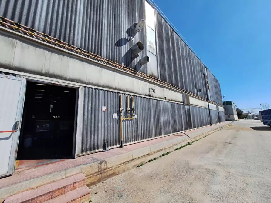 Immagine 5 di Capannone industriale in vendita  in Contrada Ciancio, N. 412 a Marsala