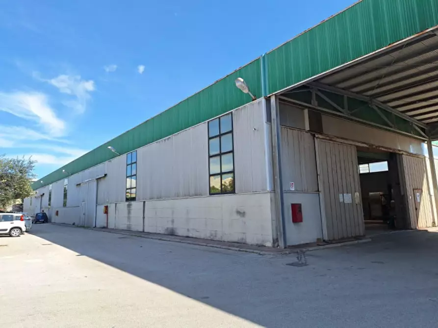 Immagine 6 di Capannone industriale in vendita  in Contrada Ciancio, N. 412 a Marsala