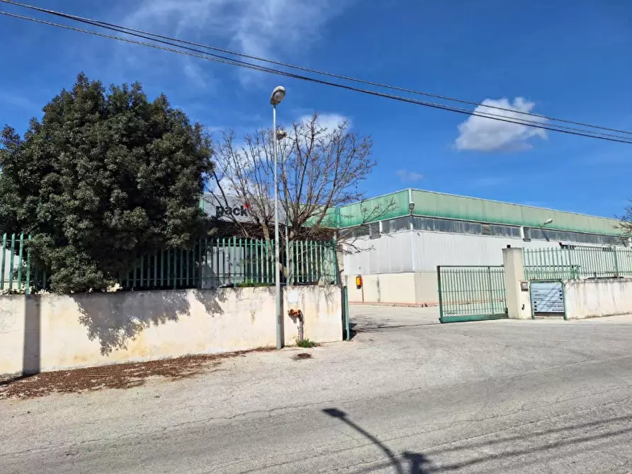 Immagine 8 di Capannone industriale in vendita  in Contrada Ciancio, N. 412 a Marsala