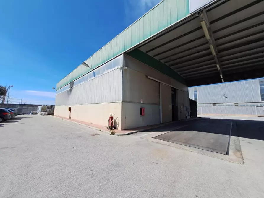 Immagine 10 di Capannone industriale in vendita  in Contrada Ciancio, N. 412 a Marsala