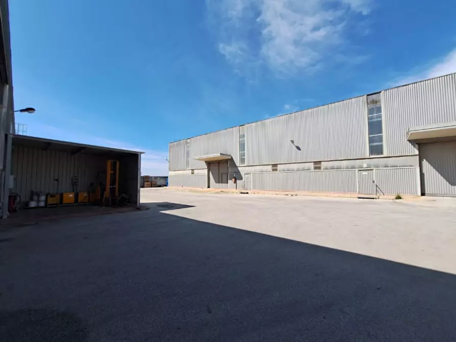 Immagine 13 di Capannone industriale in vendita  in Contrada Ciancio, N. 412 a Marsala