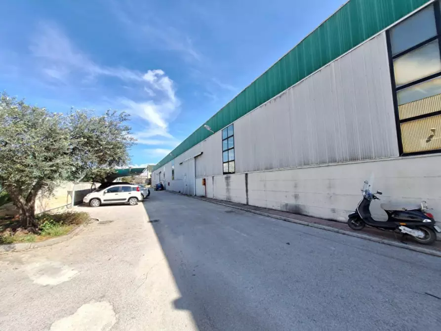 Immagine 14 di Capannone industriale in vendita  in Contrada Ciancio, N. 412 a Marsala