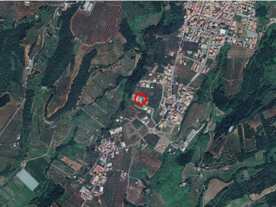 Immagine 30 di Capannone industriale in vendita  in Via Berlinguer, N. snc a Pianopoli