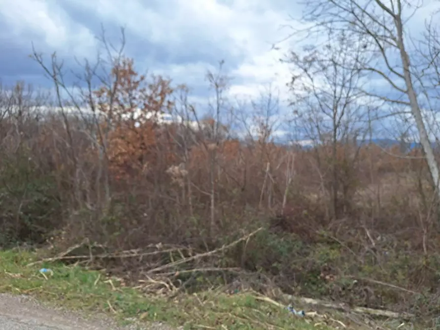 Immagine 11 di Terreno in vendita  in via Fila, N. snc a Sulmona