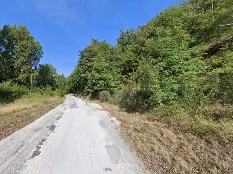 Immagine 4 di Terreno in vendita  in Località Internone, N. snc a Cingoli