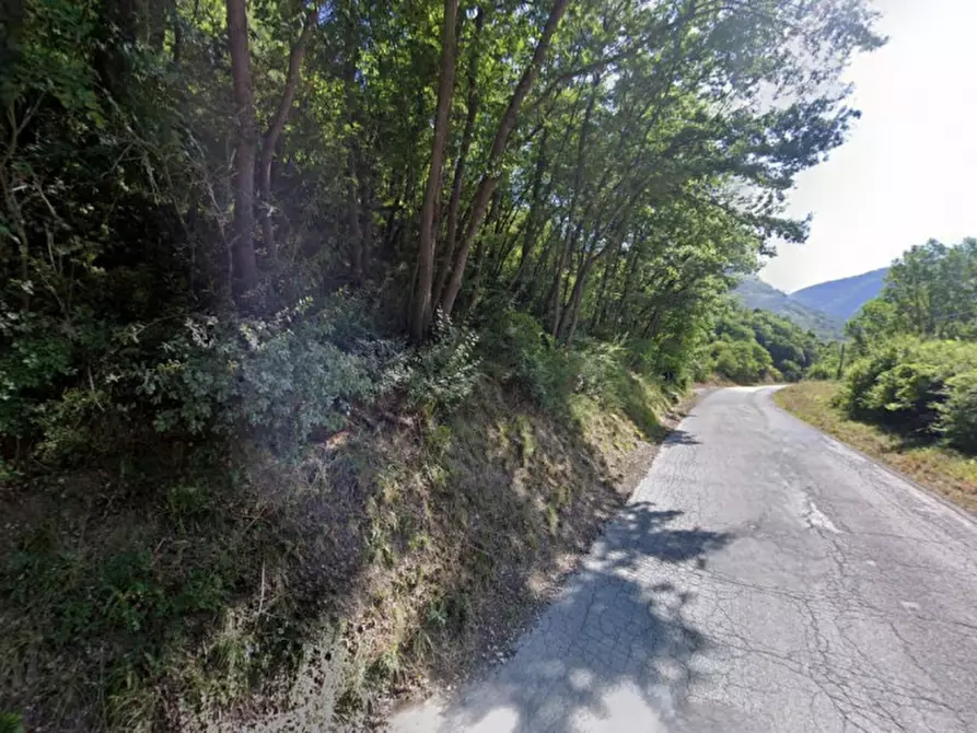 Immagine 5 di Terreno in vendita  in Località Internone, N. snc a Cingoli