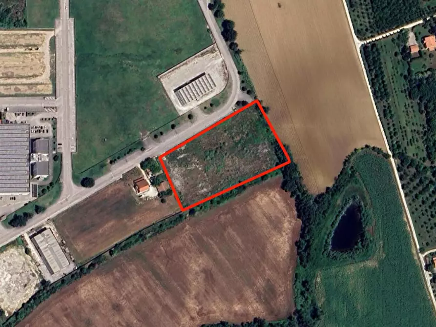 Immagine 1 di Terreno in vendita  in C.da Aneto, N. snc a Montelupone