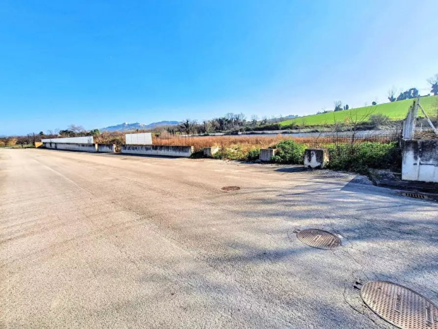 Immagine 3 di Terreno in vendita  in C.da Aneto, N. snc a Montelupone