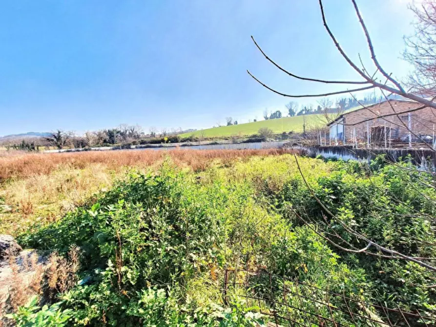 Immagine 4 di Terreno in vendita  in C.da Aneto, N. snc a Montelupone