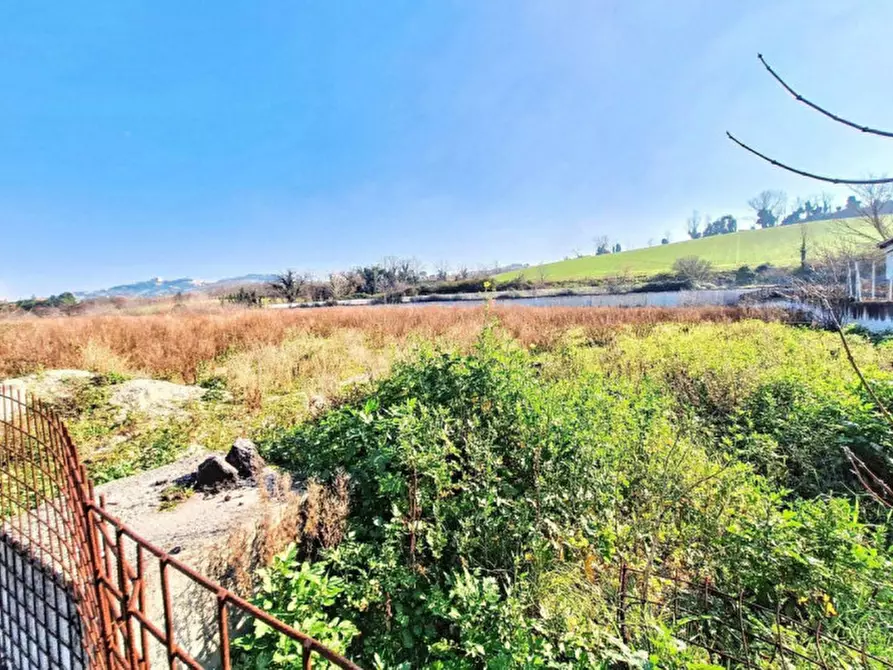 Immagine 5 di Terreno in vendita  in C.da Aneto, N. snc a Montelupone