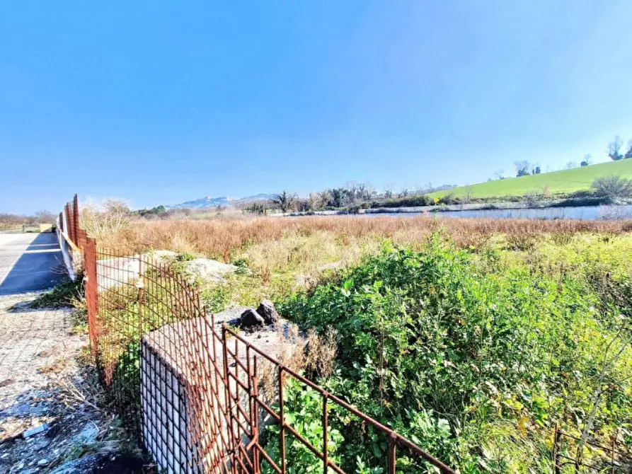 Immagine 6 di Terreno in vendita  in C.da Aneto, N. snc a Montelupone