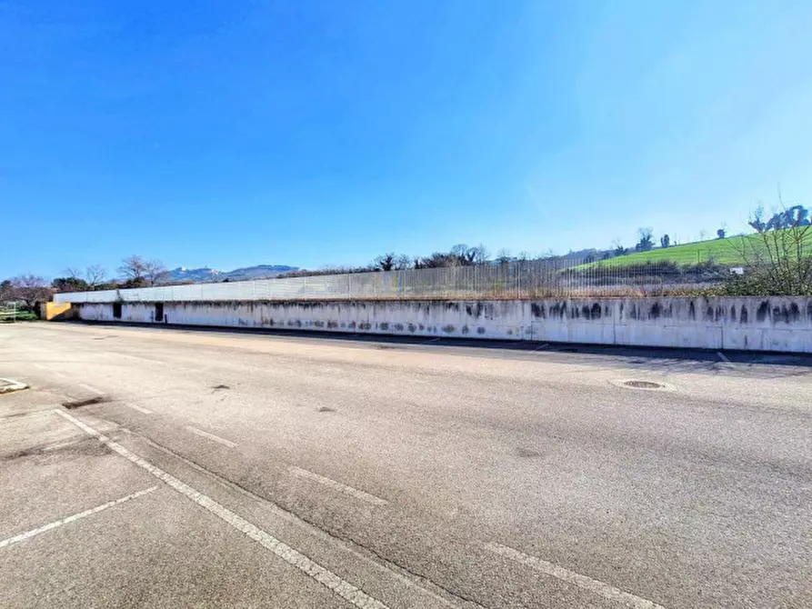 Immagine 7 di Terreno in vendita  in C.da Aneto, N. snc a Montelupone