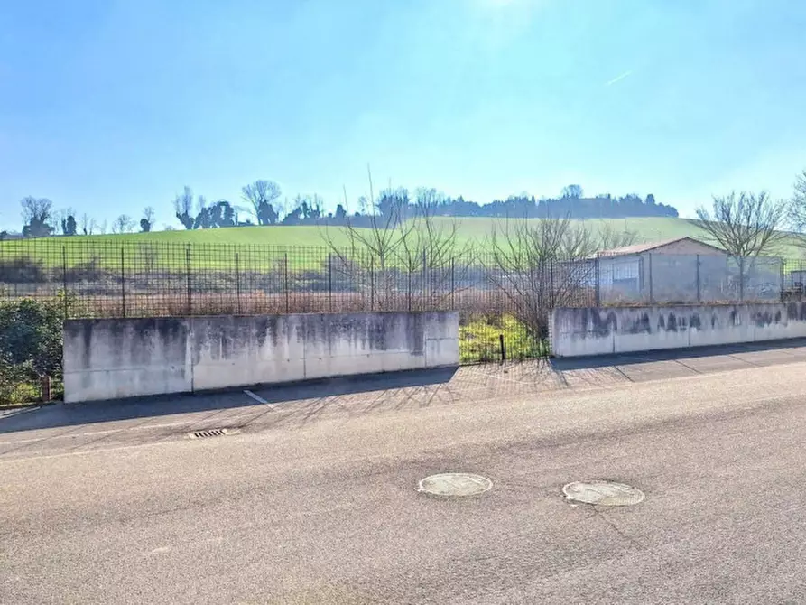 Immagine 8 di Terreno in vendita  in C.da Aneto, N. snc a Montelupone