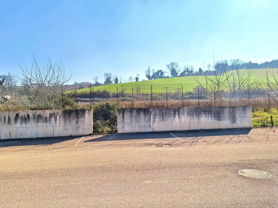 Immagine 9 di Terreno in vendita  in C.da Aneto, N. snc a Montelupone