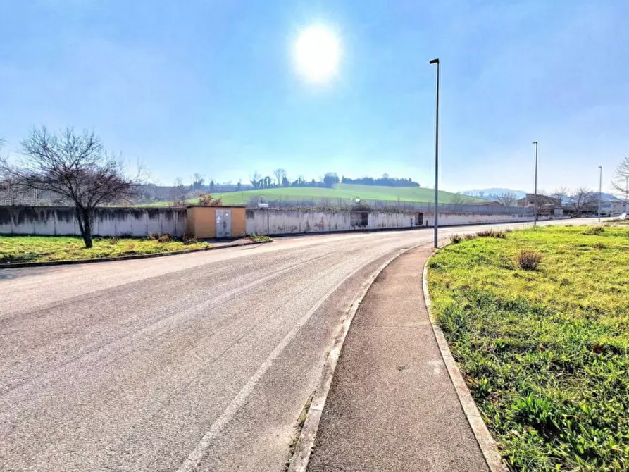 Immagine 10 di Terreno in vendita  in C.da Aneto, N. snc a Montelupone