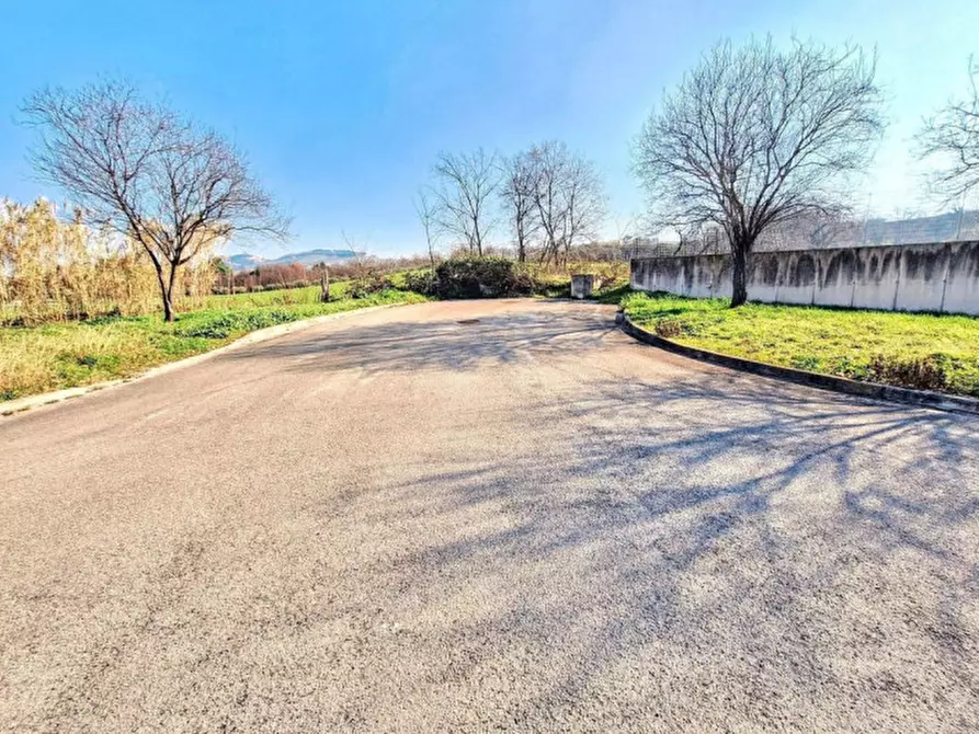 Immagine 11 di Terreno in vendita  in C.da Aneto, N. snc a Montelupone