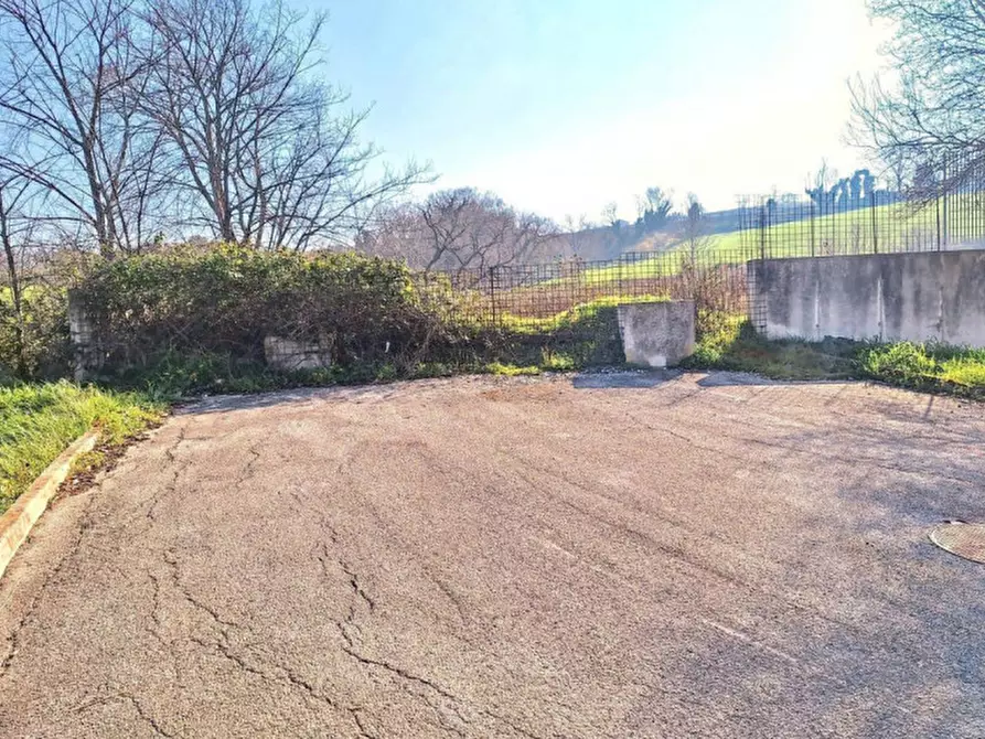 Immagine 12 di Terreno in vendita  in C.da Aneto, N. snc a Montelupone