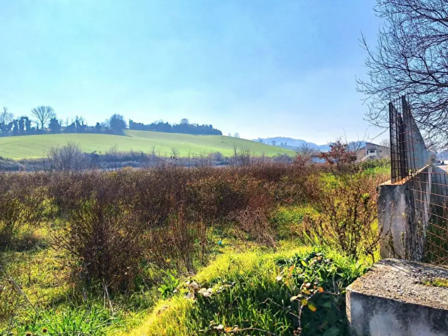 Immagine 14 di Terreno in vendita  in C.da Aneto, N. snc a Montelupone