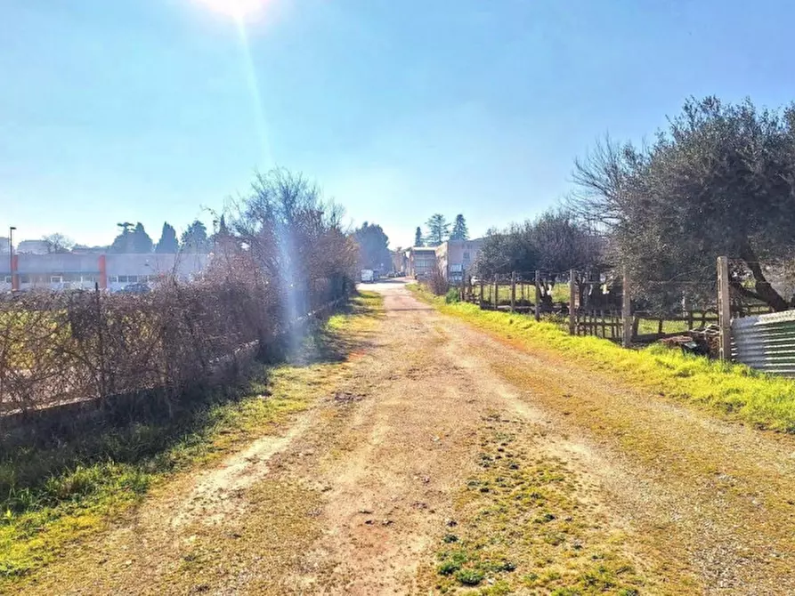 Immagine 14 di Terreno in vendita  in Via Borgo S. Croce, Via D'Andrea e Via Quasimodo, N. snc a Appignano