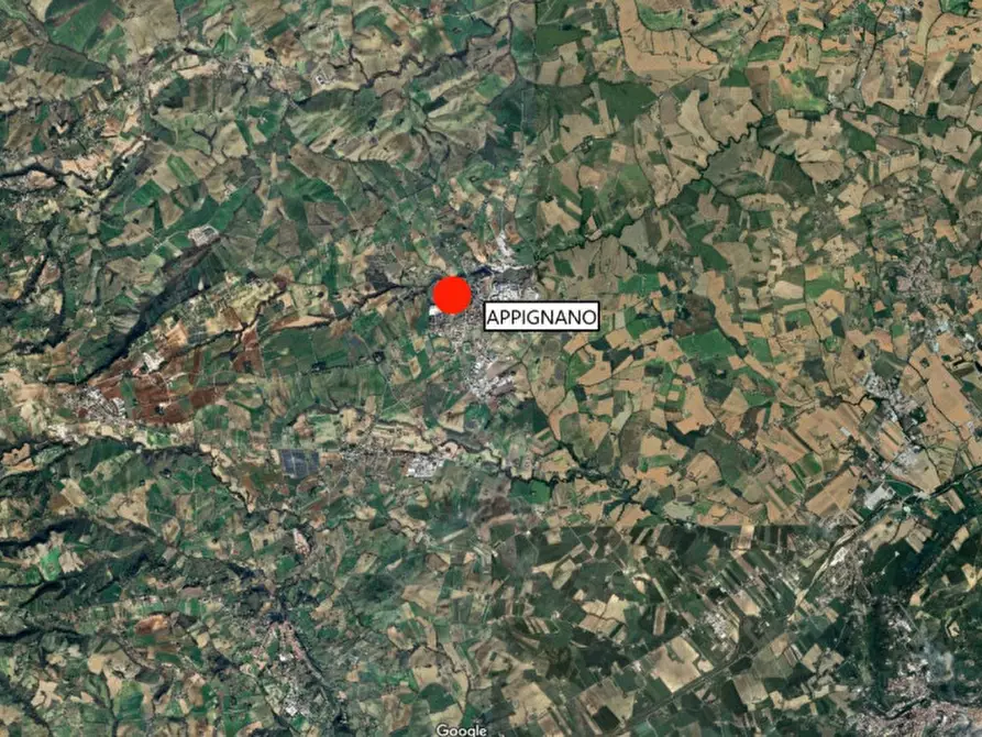 Immagine 17 di Terreno in vendita  in Via Borgo S. Croce, Via D'Andrea e Via Quasimodo, N. snc a Appignano