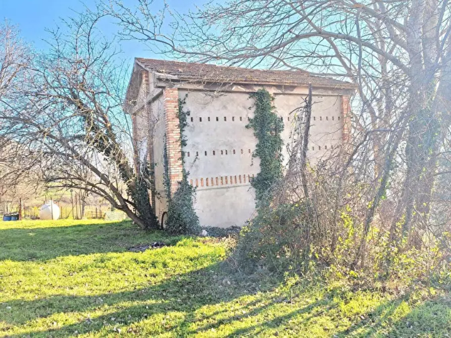 Immagine 5 di Casa indipendente in vendita  in Località Colcerasa, N. snc a Cingoli