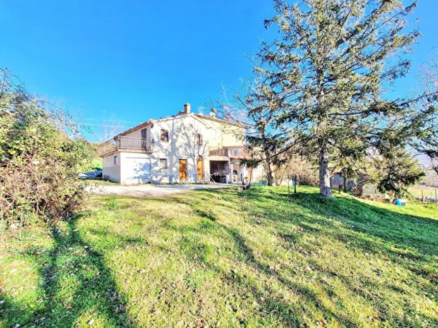 Immagine 9 di Casa indipendente in vendita  in Località Colcerasa, N. snc a Cingoli