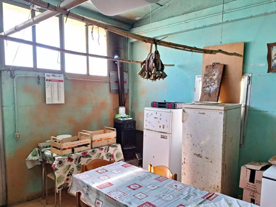 Immagine 7 di Terreno in vendita  in Località Canneto, N. Snc a Monteverdi Marittimo