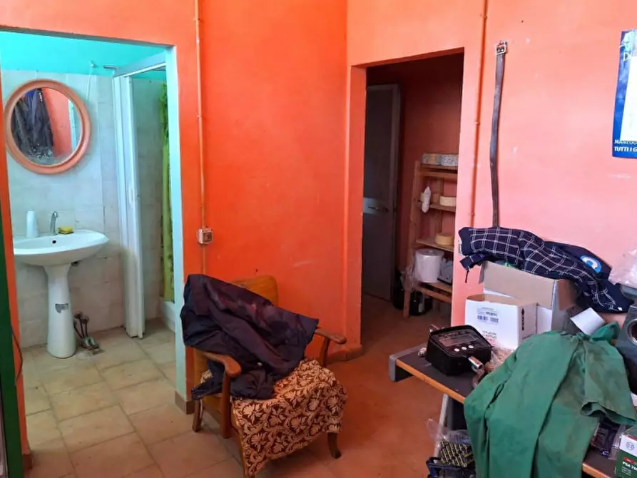 Immagine 8 di Terreno in vendita  in Località Canneto, N. Snc a Monteverdi Marittimo