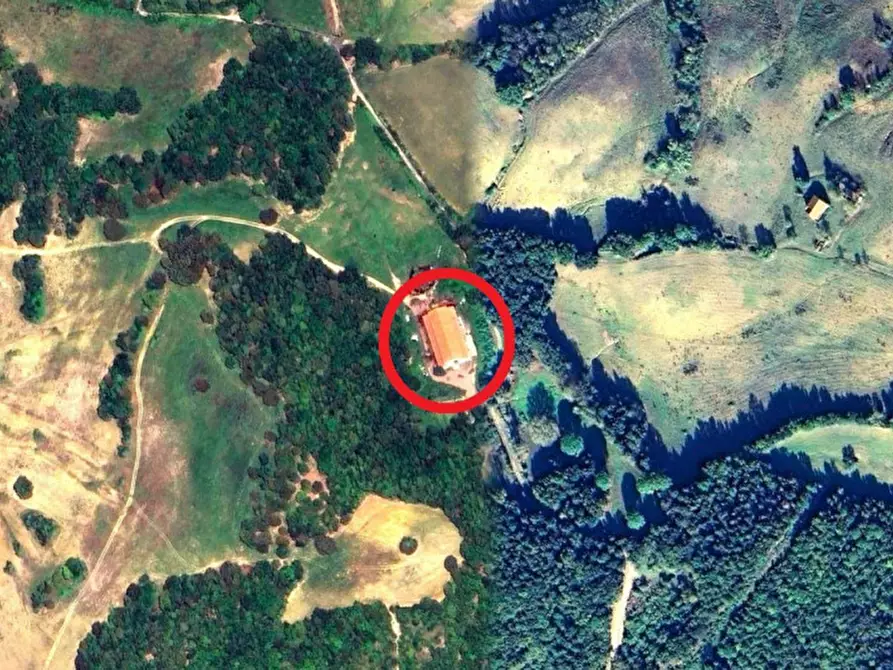 Immagine 15 di Terreno in vendita  in Località Canneto, N. Snc a Monteverdi Marittimo