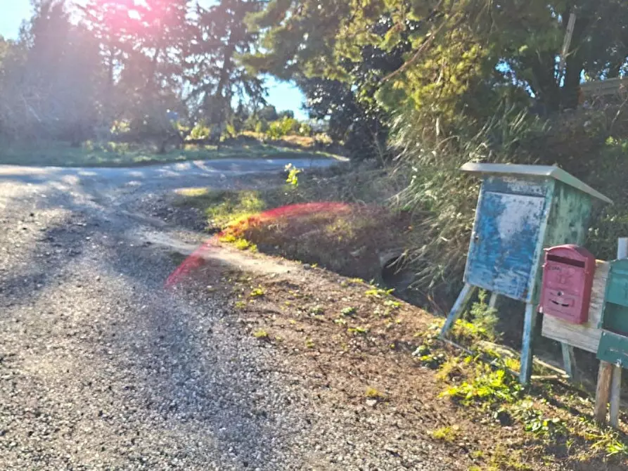 Immagine 6 di Appartamento in vendita  in Località Serrazzano, N. Snc a Pomarance